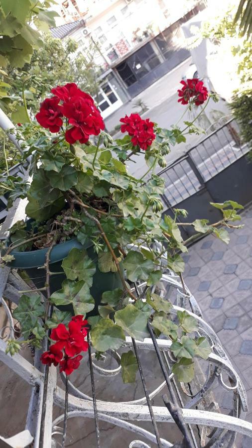 Homestay Izolda Batumi Exterior photo